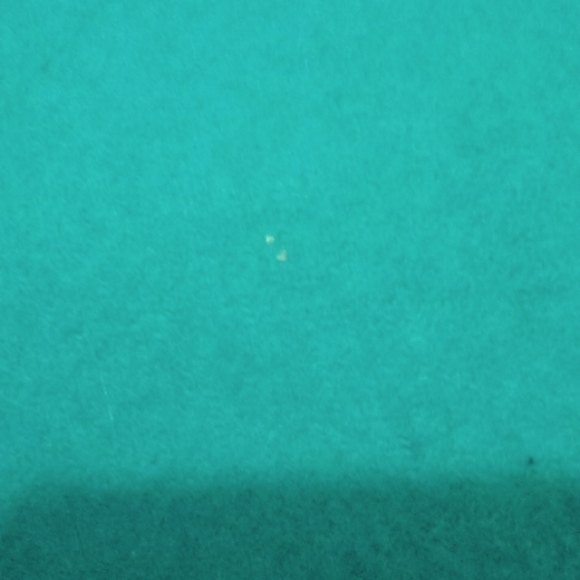 Traditional green long wool coat - Picture 5 of 7